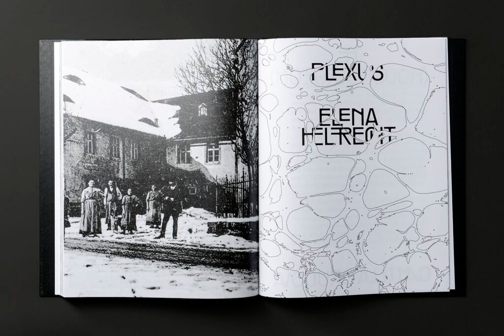 PHROOM // Plexus—Elena Helfrecht