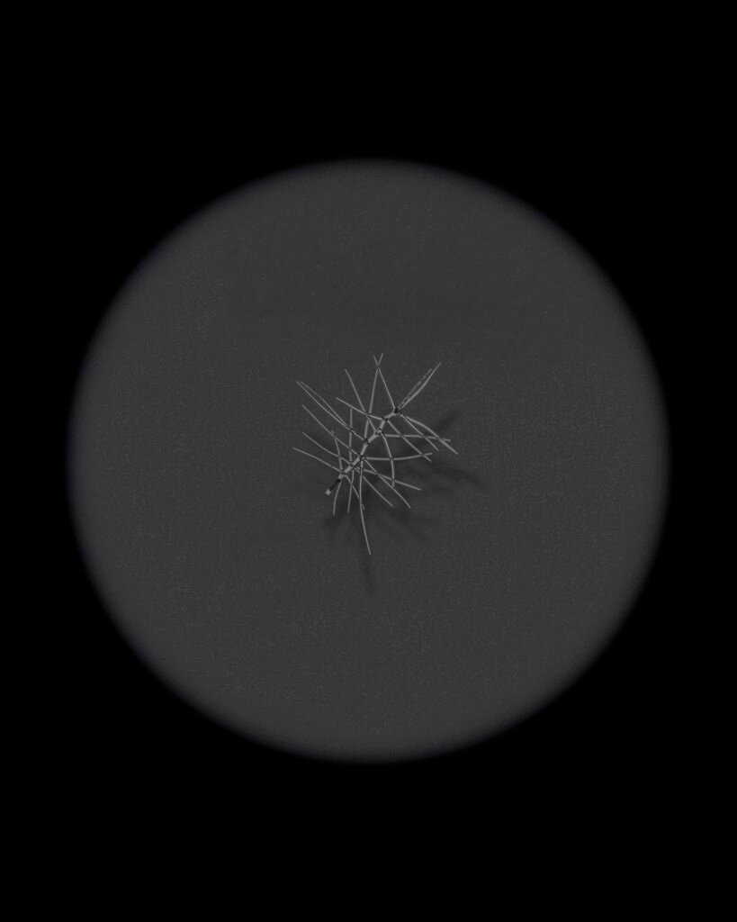 PHROOM // Federici Matteo