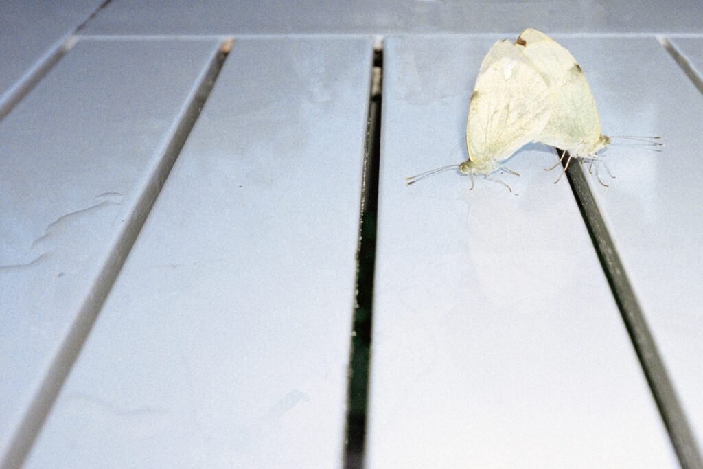 PHROOM // Frida Forever—Frida Lisa Carstensen Jersø