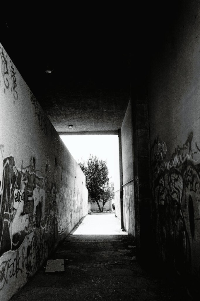 PHROOM // Carlotta Mazzeo