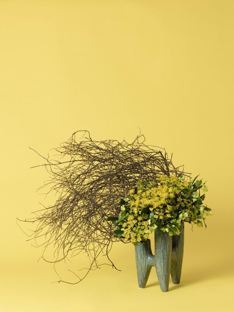PHROOM // Anna Shelton