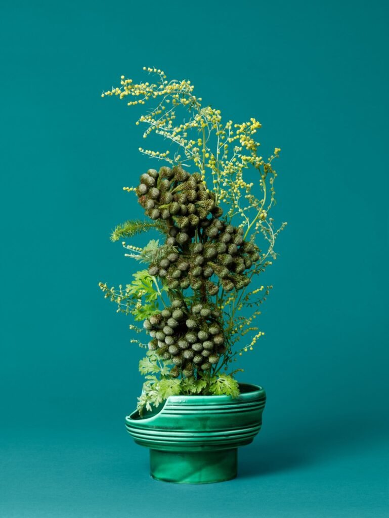 PHROOM // Anna Shelton