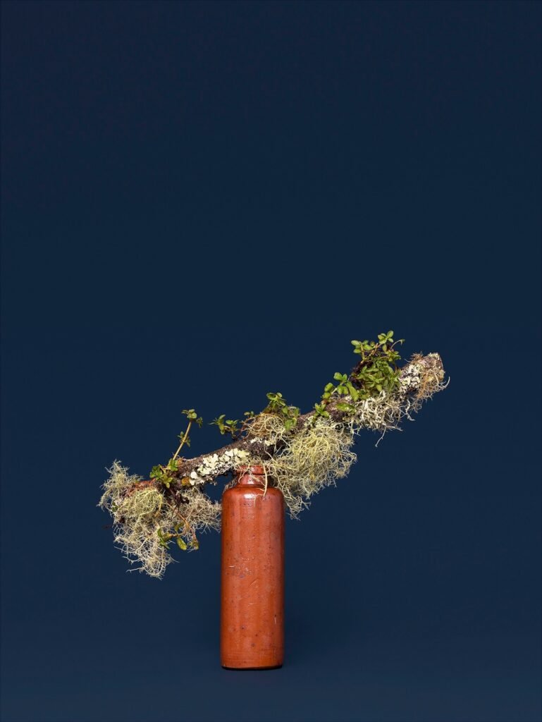 PHROOM // Anna Shelton
