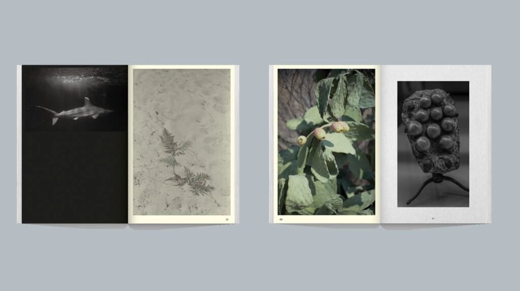 PHROOM // Atlantis, Oriane Thomasson