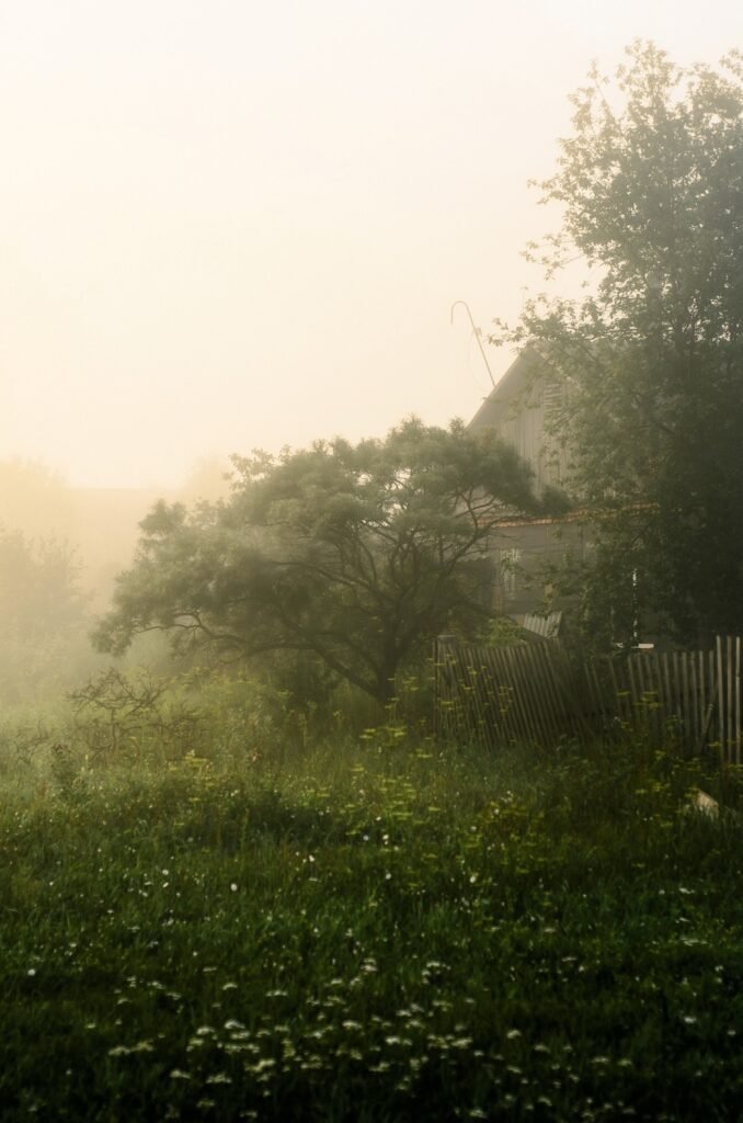 PHROOM // Valentina Doddato