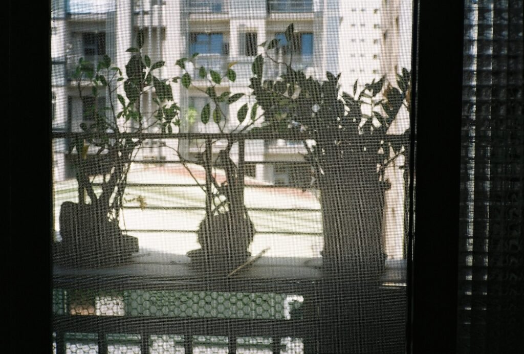 PHROOM // Huang Yi-Hsuan