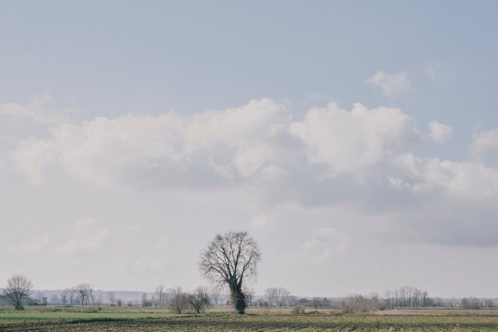PHROOM // Francesco Guttilla