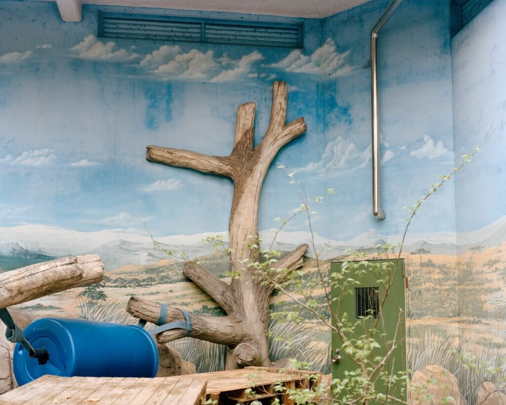 PHROOM // Nicolò Rinaldi