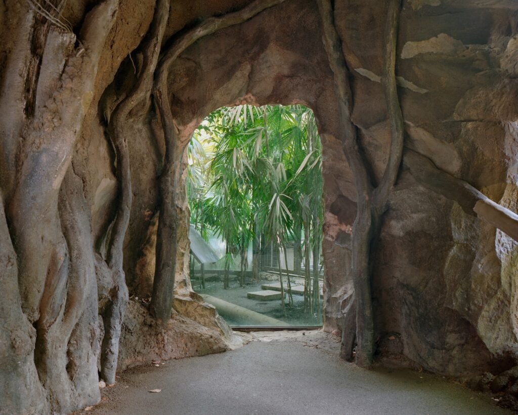 PHROOM // Nicolò Rinaldi