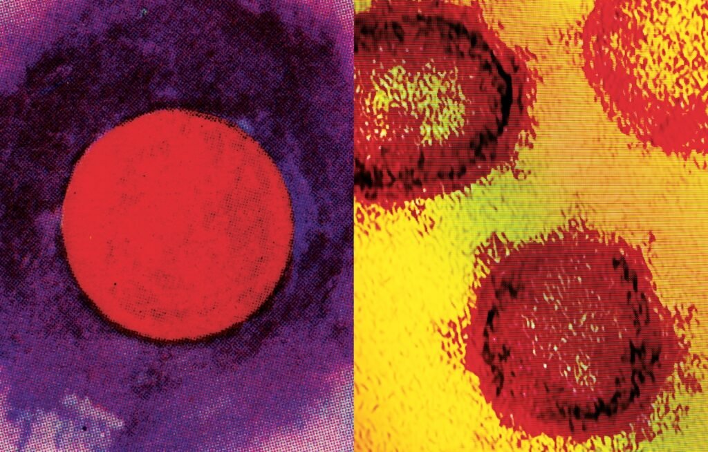 PHROOM // Ryan Frigillana