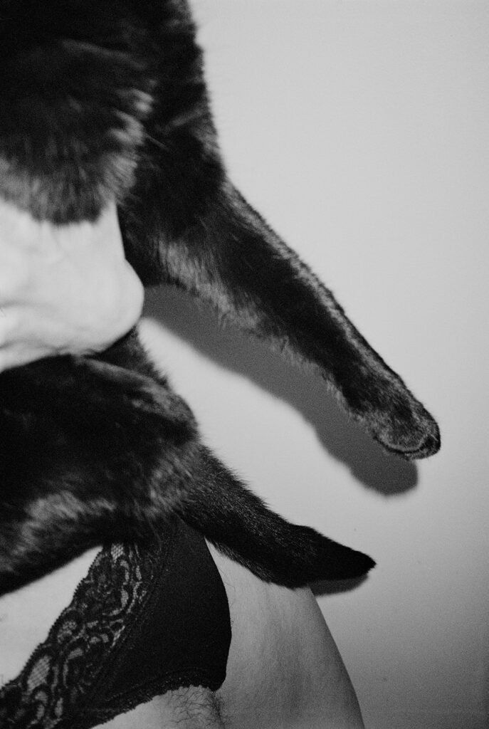 PHROOM // Ronya Hirsma