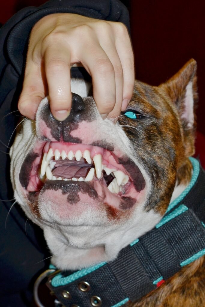 PHROOM // Kristina Rozhkova