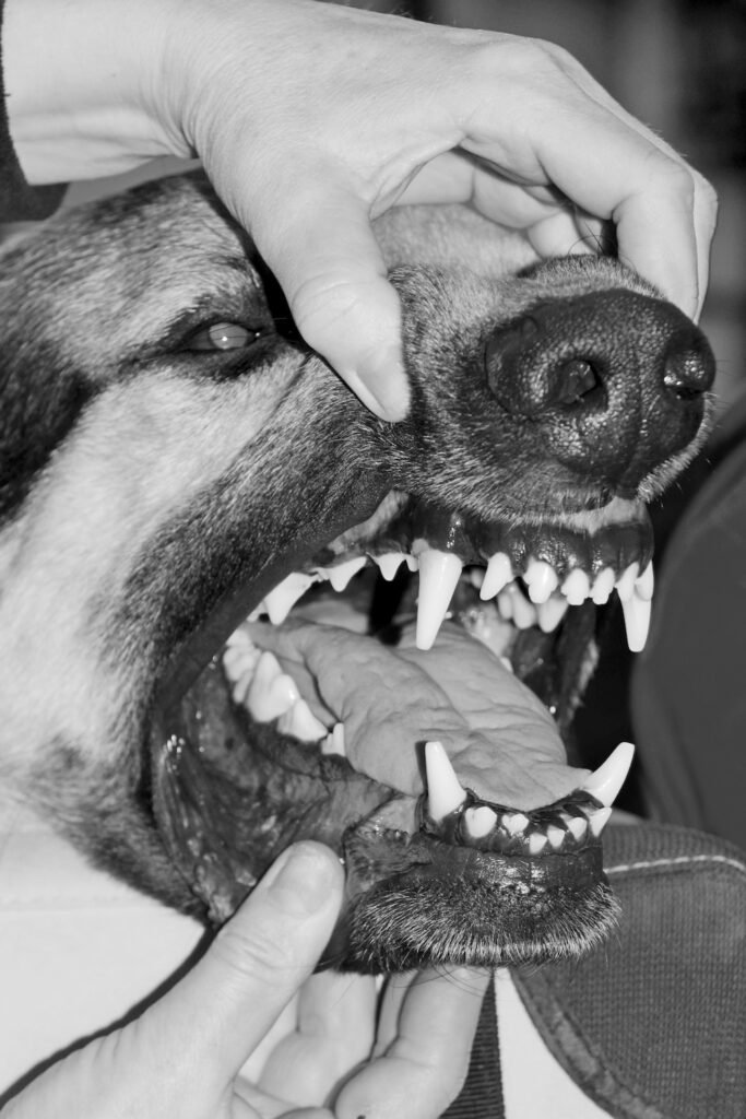 PHROOM // Kristina Rozhkova