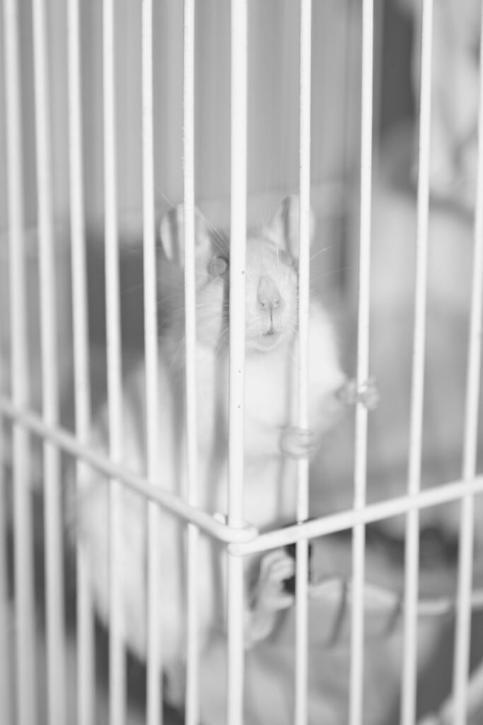 PHROOM // Kristina Rozhkova