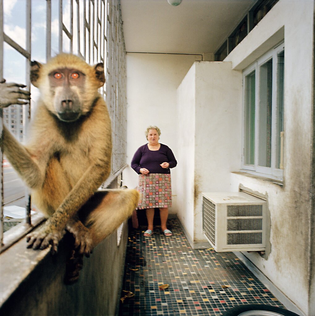 PHROOM // Maputo Diary, Ditte Haarløv Johnsen