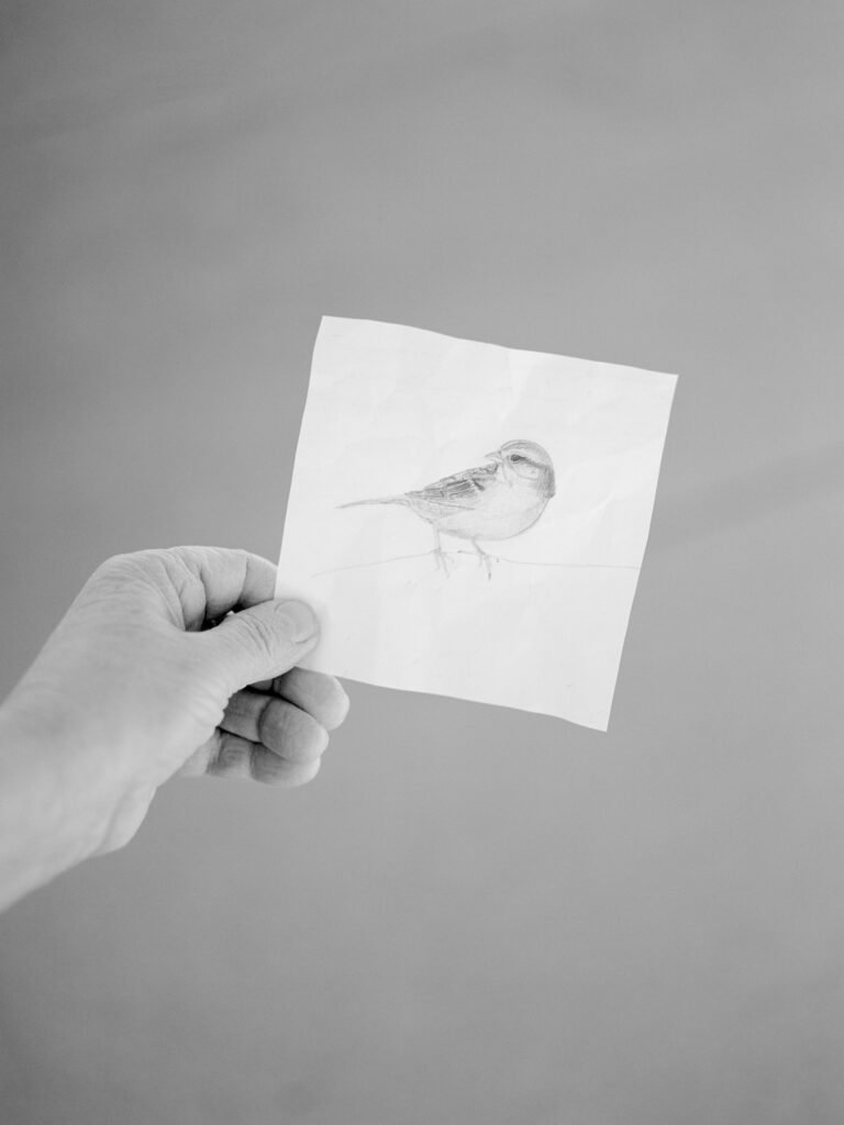 PHROOM // Alexandra Riba