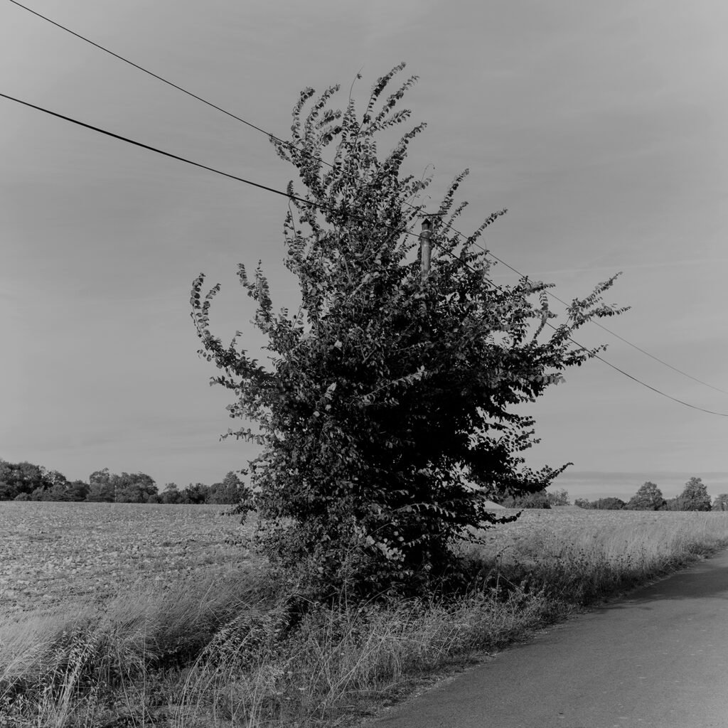 PHROOM // Gabriel Gómez