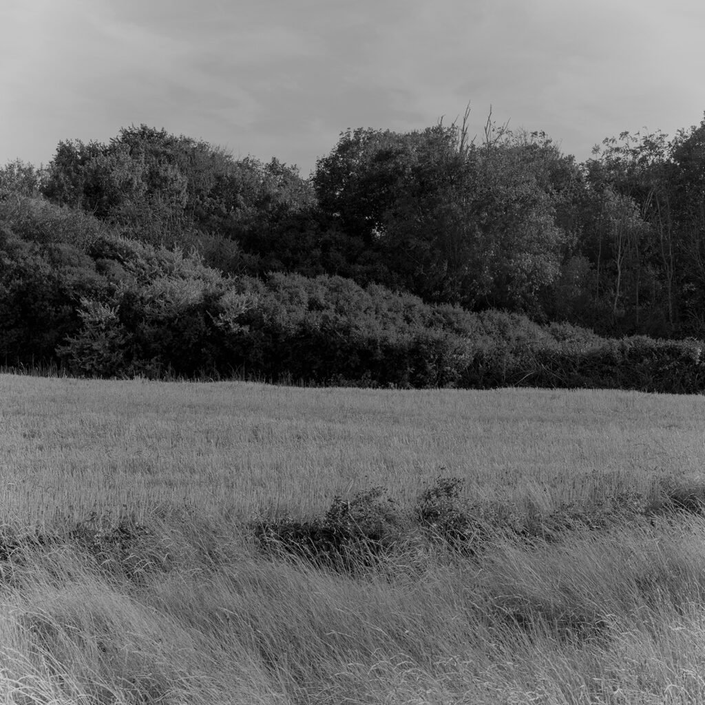 PHROOM // Gabriel Gómez