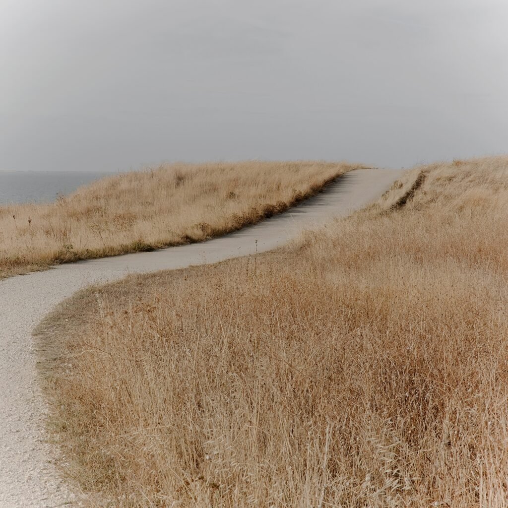 PHROOM // Gabriel Gómez