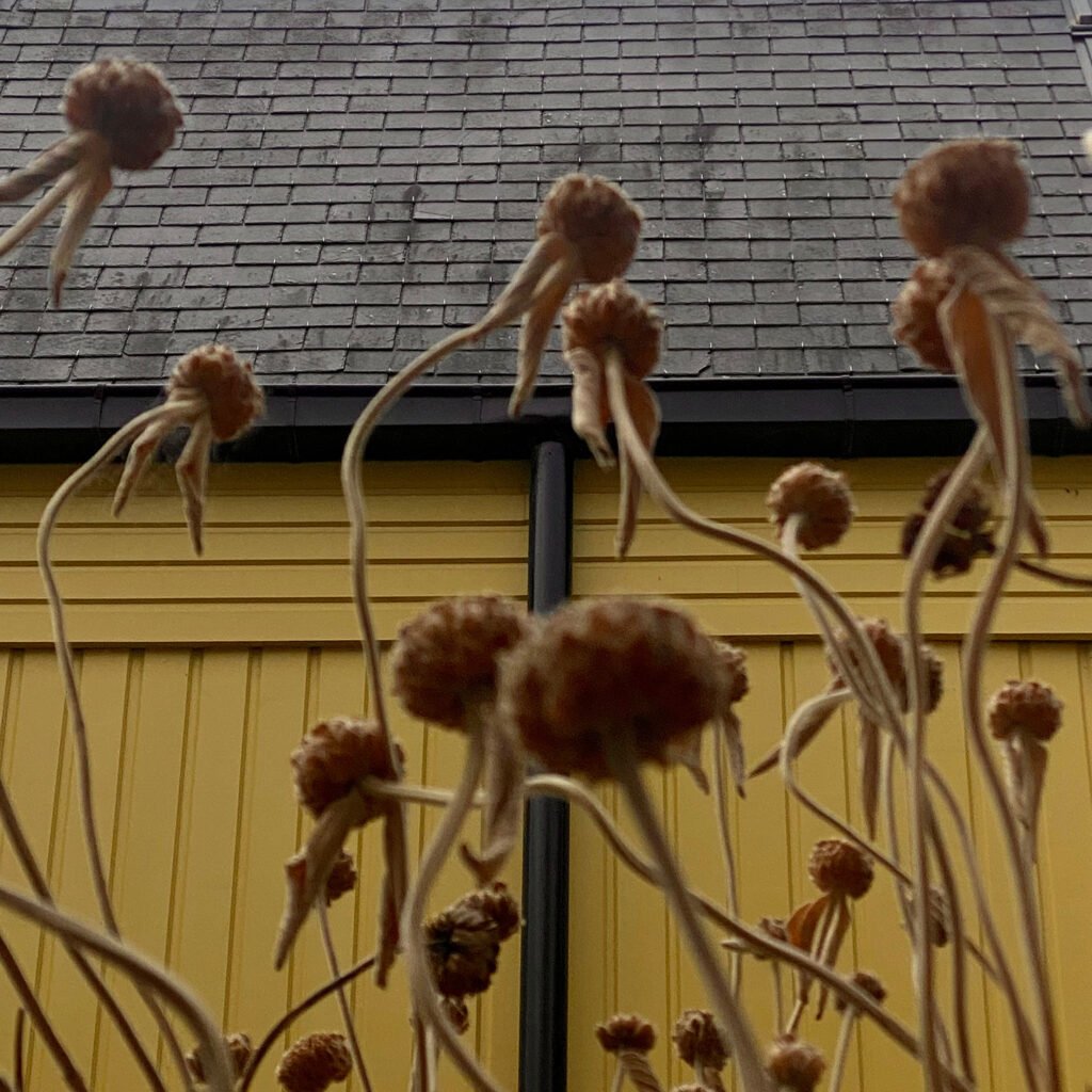 PHROOM // Gabriel Gómez