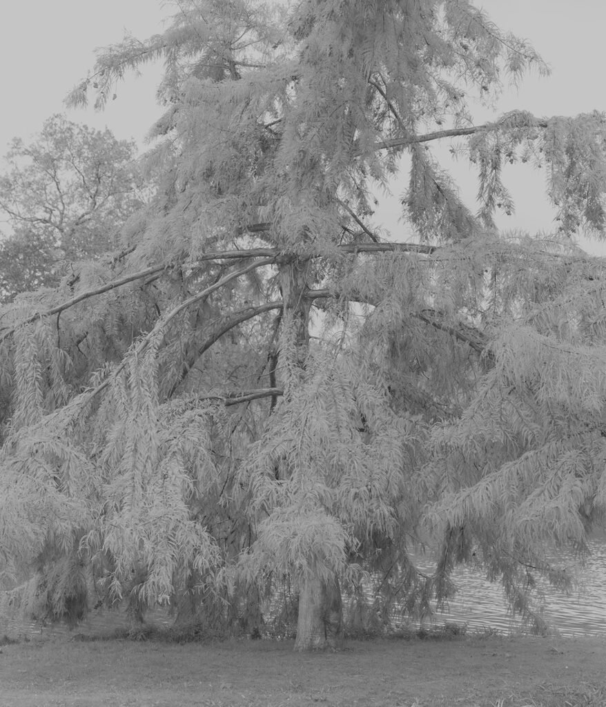 PHROOM // Gabriel Gómez