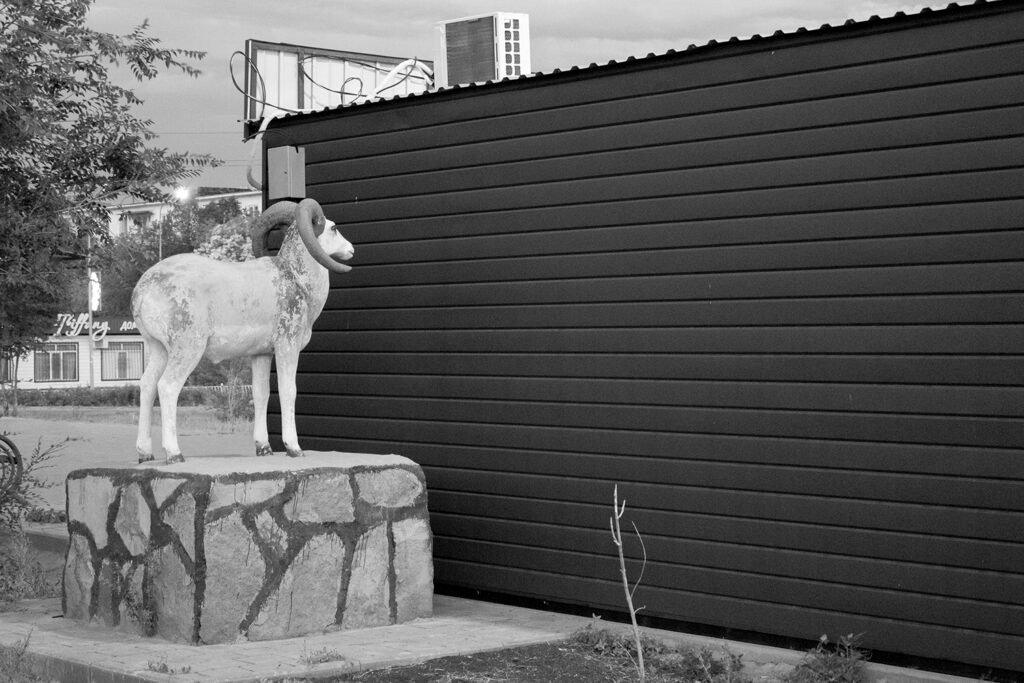 PHROOM // Ruslan Shegai