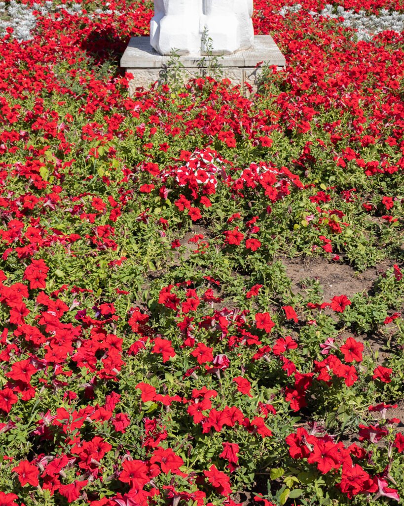 PHROOM // Ruslan Shegai