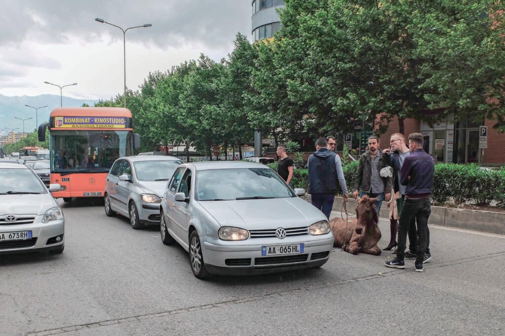 PHROOM // Fabrizio Bellomo—Concrete Albania