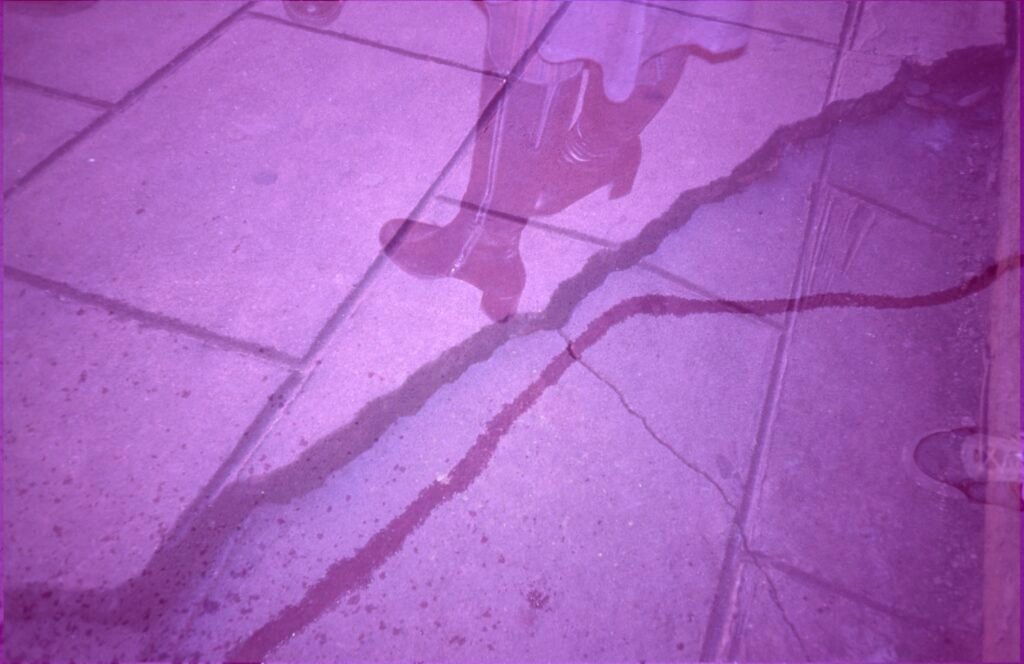 PHROOM // Marco Dapino