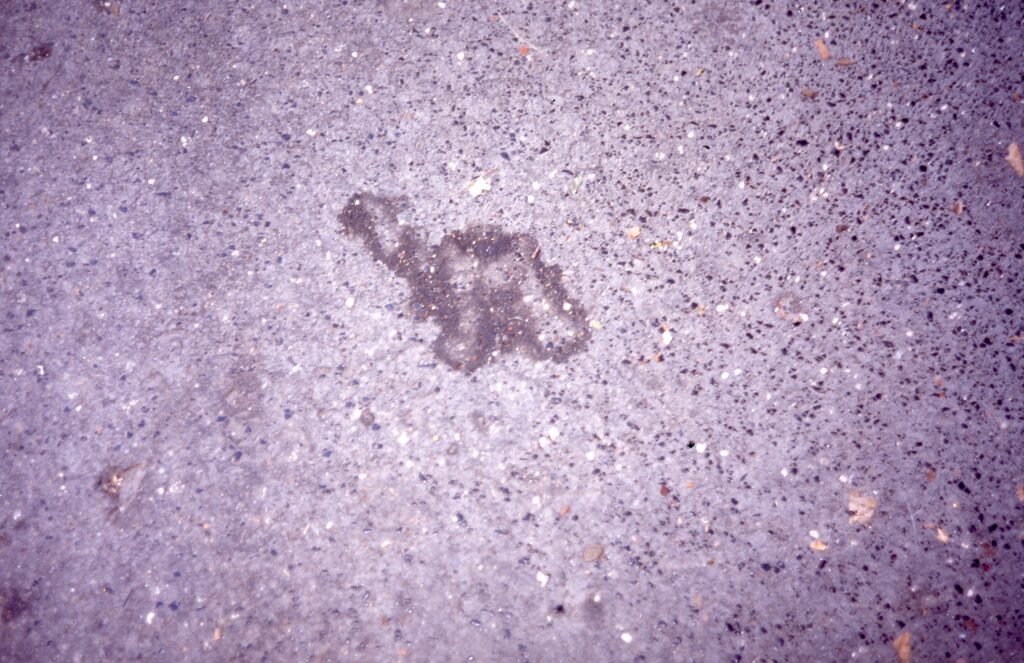 PHROOM // Marco Dapino