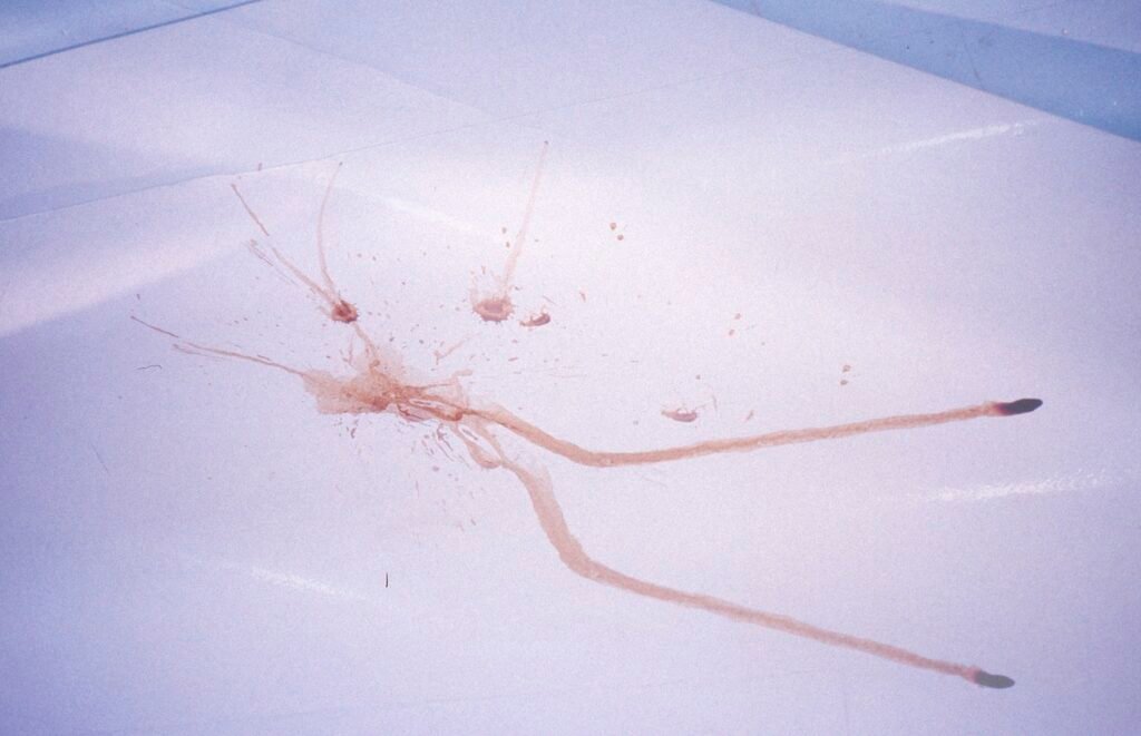 PHROOM // Marco Dapino