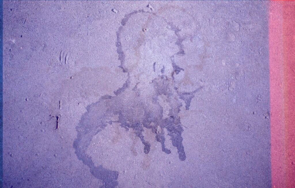 PHROOM // Marco Dapino