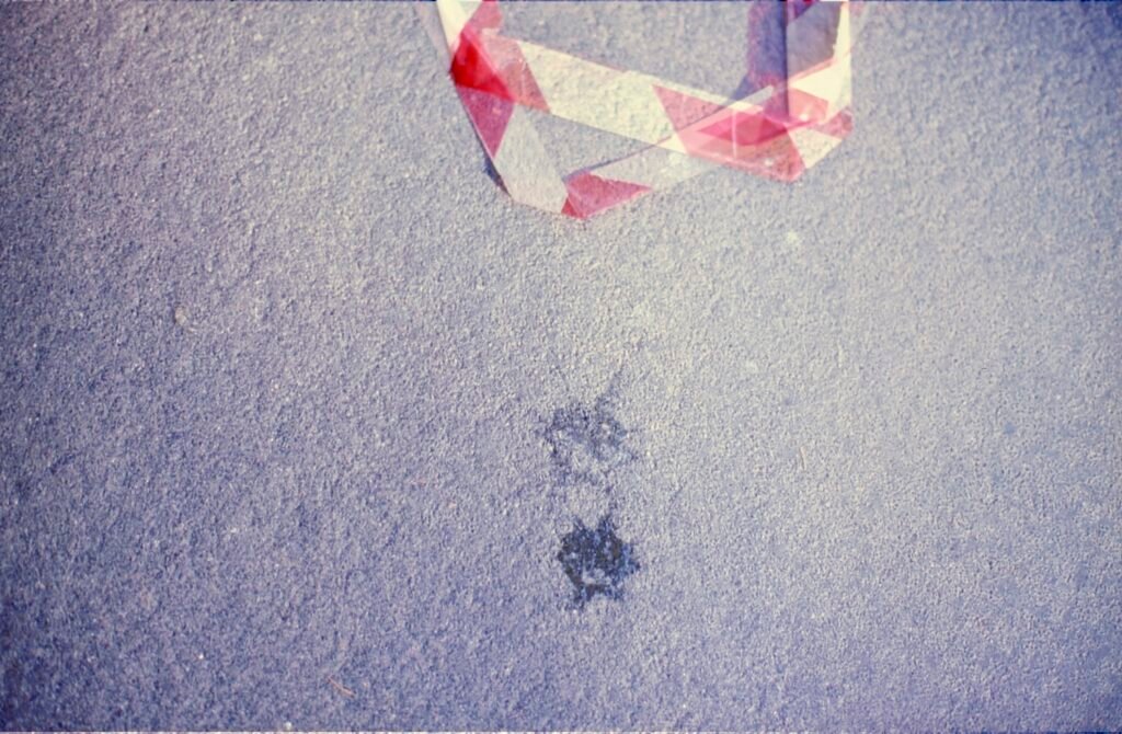 PHROOM // Marco Dapino