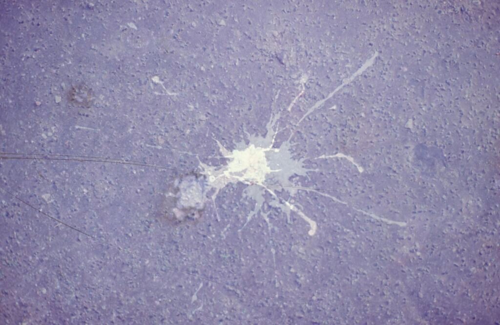 PHROOM // Marco Dapino