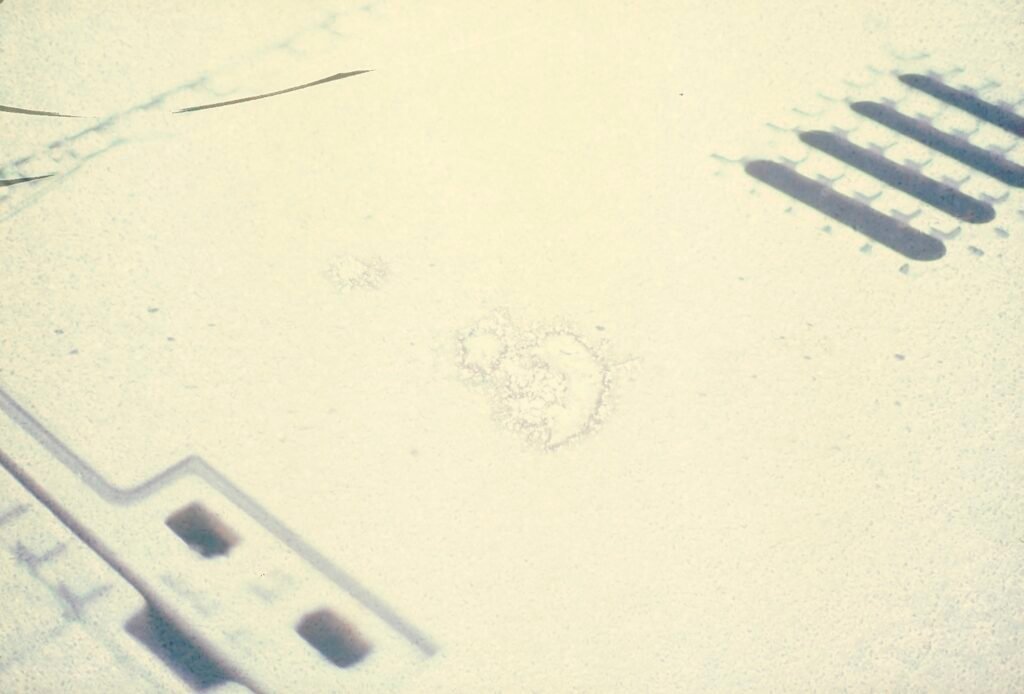 PHROOM // Marco Dapino