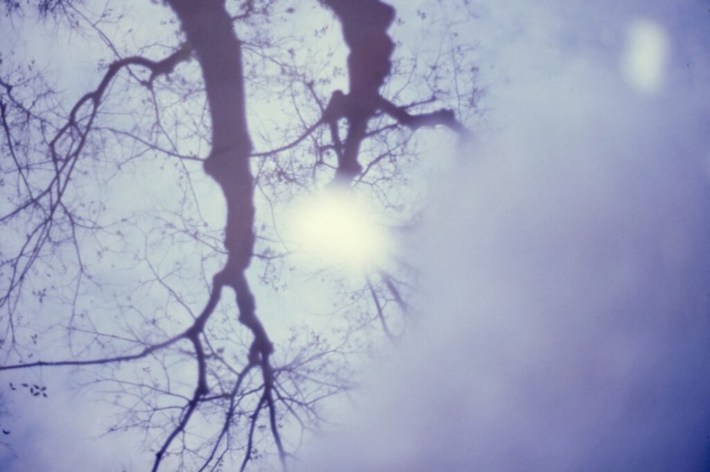 PHROOM // Marco Dapino