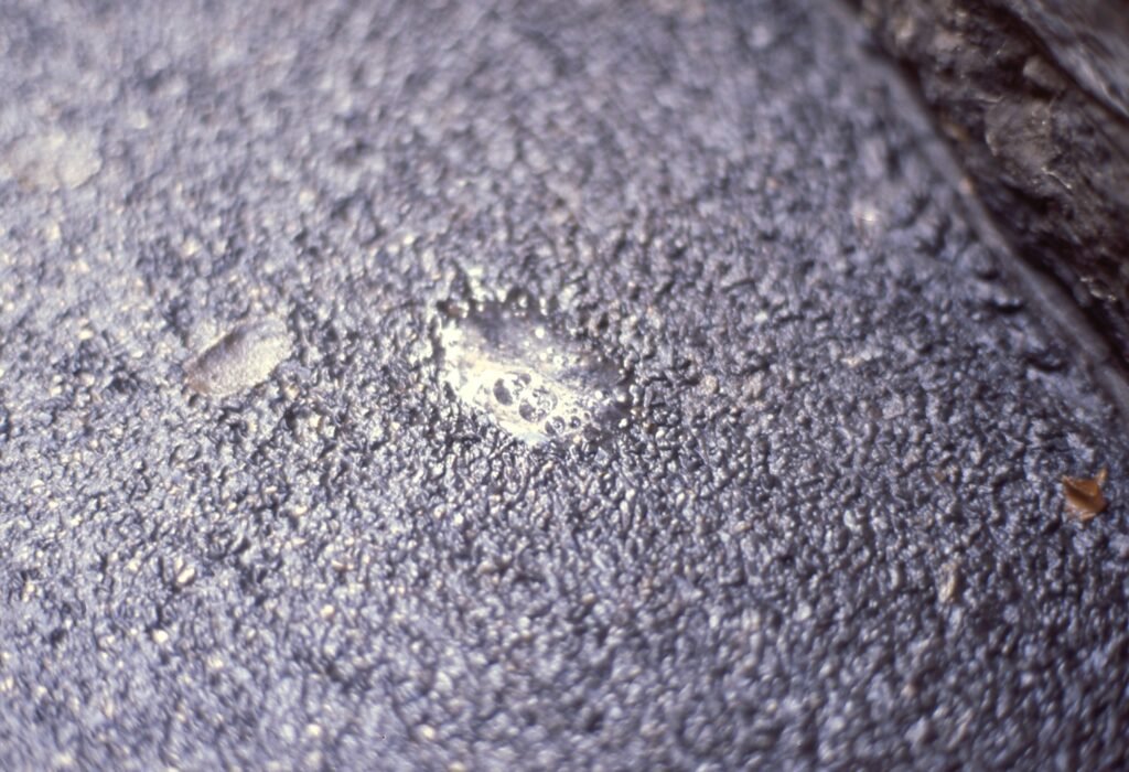 PHROOM // Marco Dapino