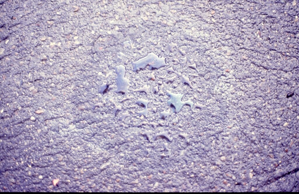 PHROOM // Marco Dapino