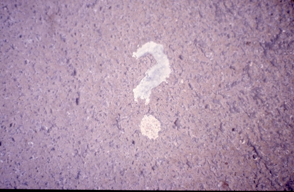 PHROOM // Marco Dapino