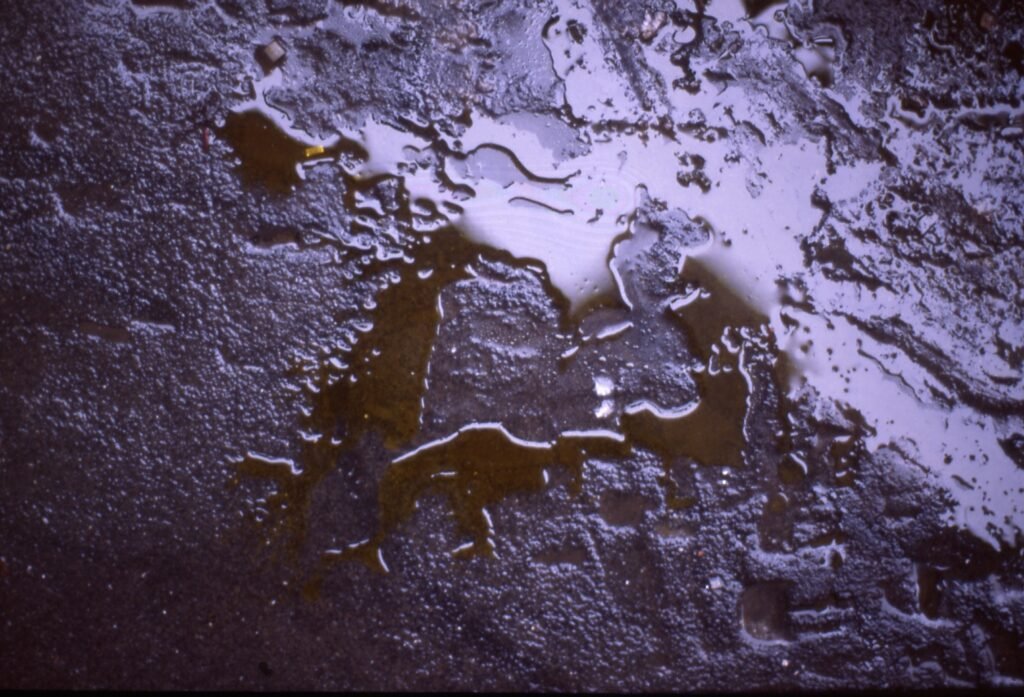 PHROOM // Marco Dapino