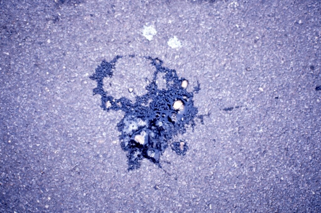 PHROOM // Marco Dapino