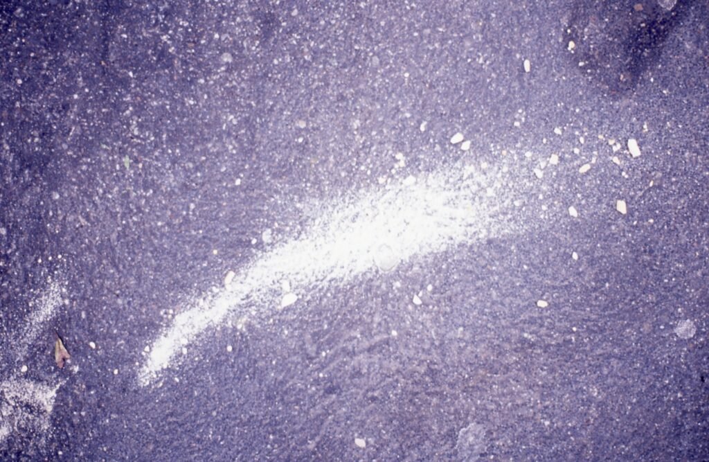 PHROOM // Marco Dapino