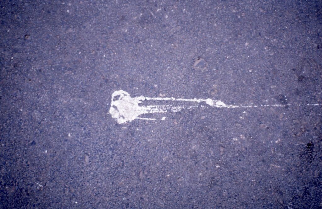 PHROOM // Marco Dapino