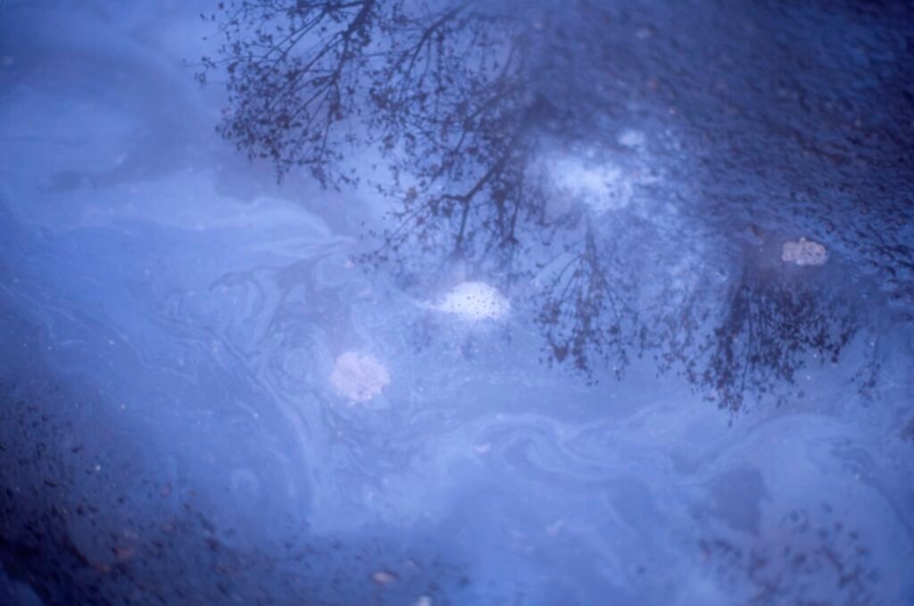 PHROOM // Marco Dapino