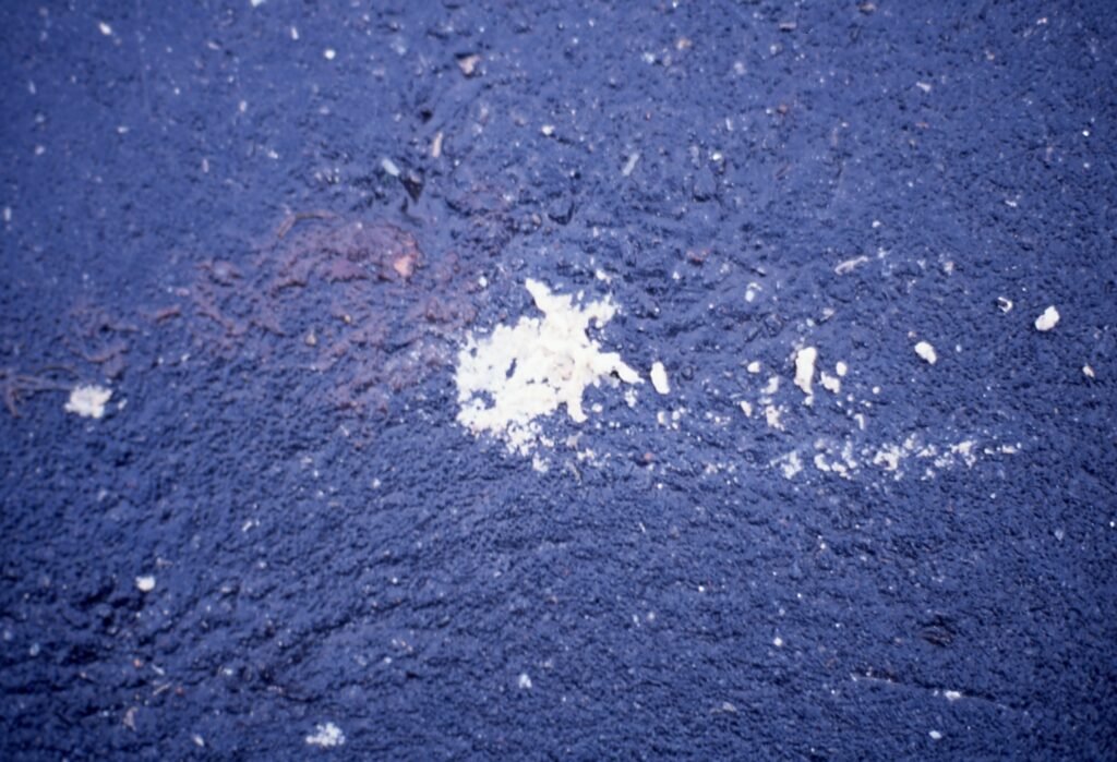 PHROOM // Marco Dapino