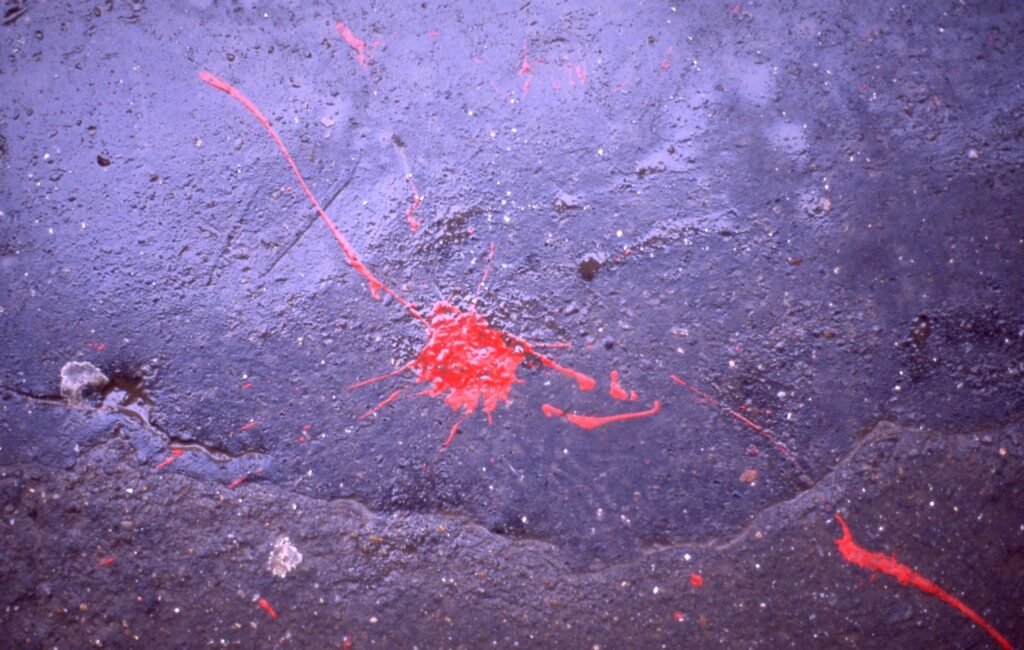 PHROOM // Marco Dapino