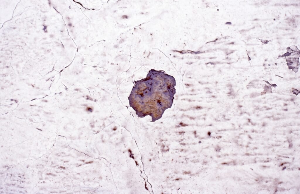 PHROOM // Marco Dapino