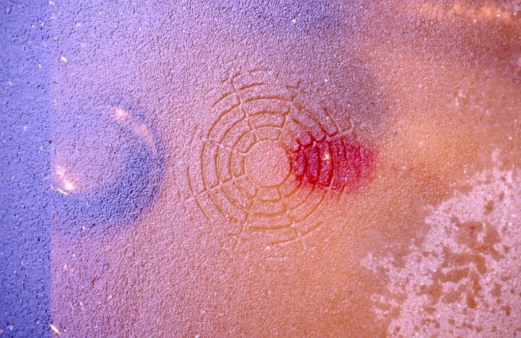 PHROOM // Marco Dapino