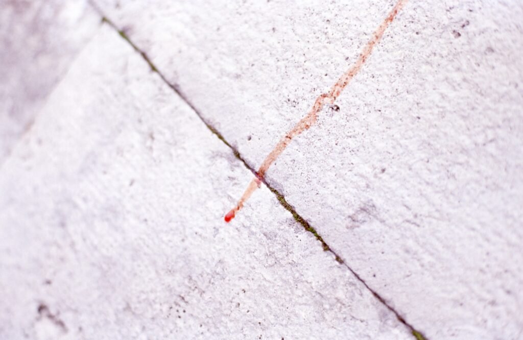 PHROOM // Marco Dapino