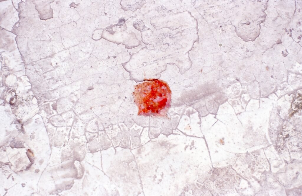 PHROOM // Marco Dapino